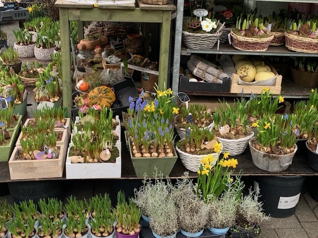 Voorjaarskriebels Marsmanplein 